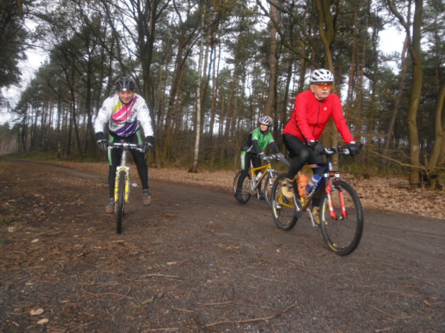 CTFAllertalJN 137